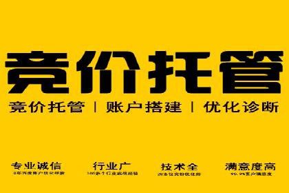SEM投放策略优化案例分析